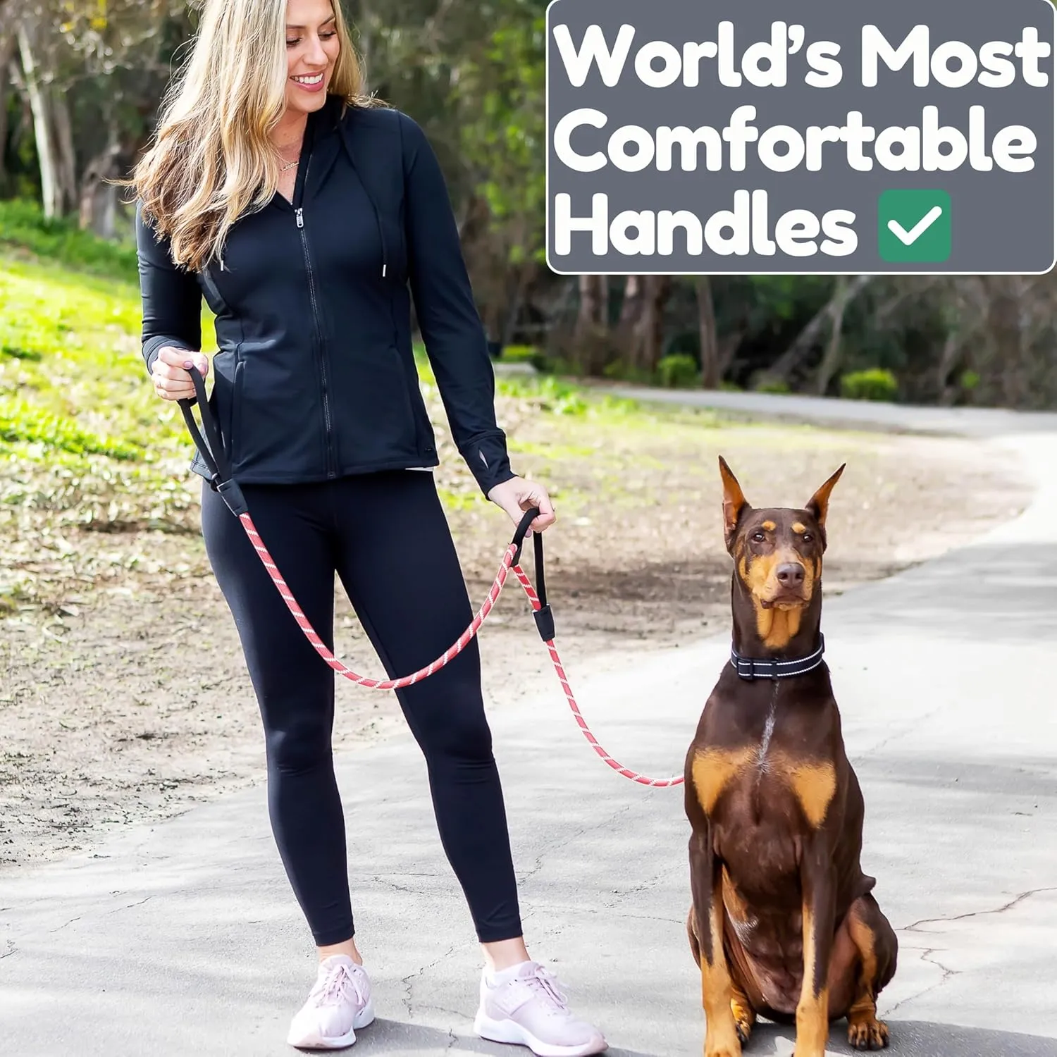 6 Foot Dog Leash, Two Extra Padded Handles, Heavy Duty Dog Leash for Medium to Large Pets, Highly Reflective, Shock-Absorbing No Pull Rope Lead, Durable for Walking, Running, Training Lead - Roam Gear