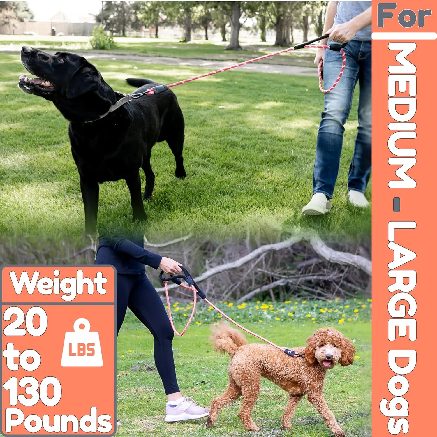 6 Foot Dog Leash, Two Extra Padded Handles, Heavy Duty Dog Leash for Medium to Large Pets, Highly Reflective, Shock-Absorbing No Pull Rope Lead, Durable for Walking, Running, Training Lead - Roam Gear