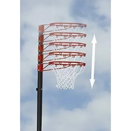 85501      ~ LIFETIME NETBALL GOAL SYSTEM 1111