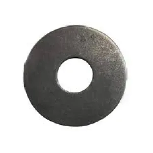 Echo Circular Washer V307000160_Aac
