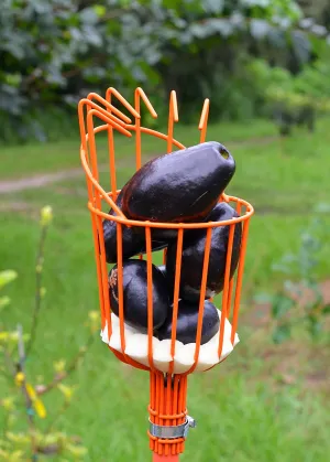 Fruit Picker