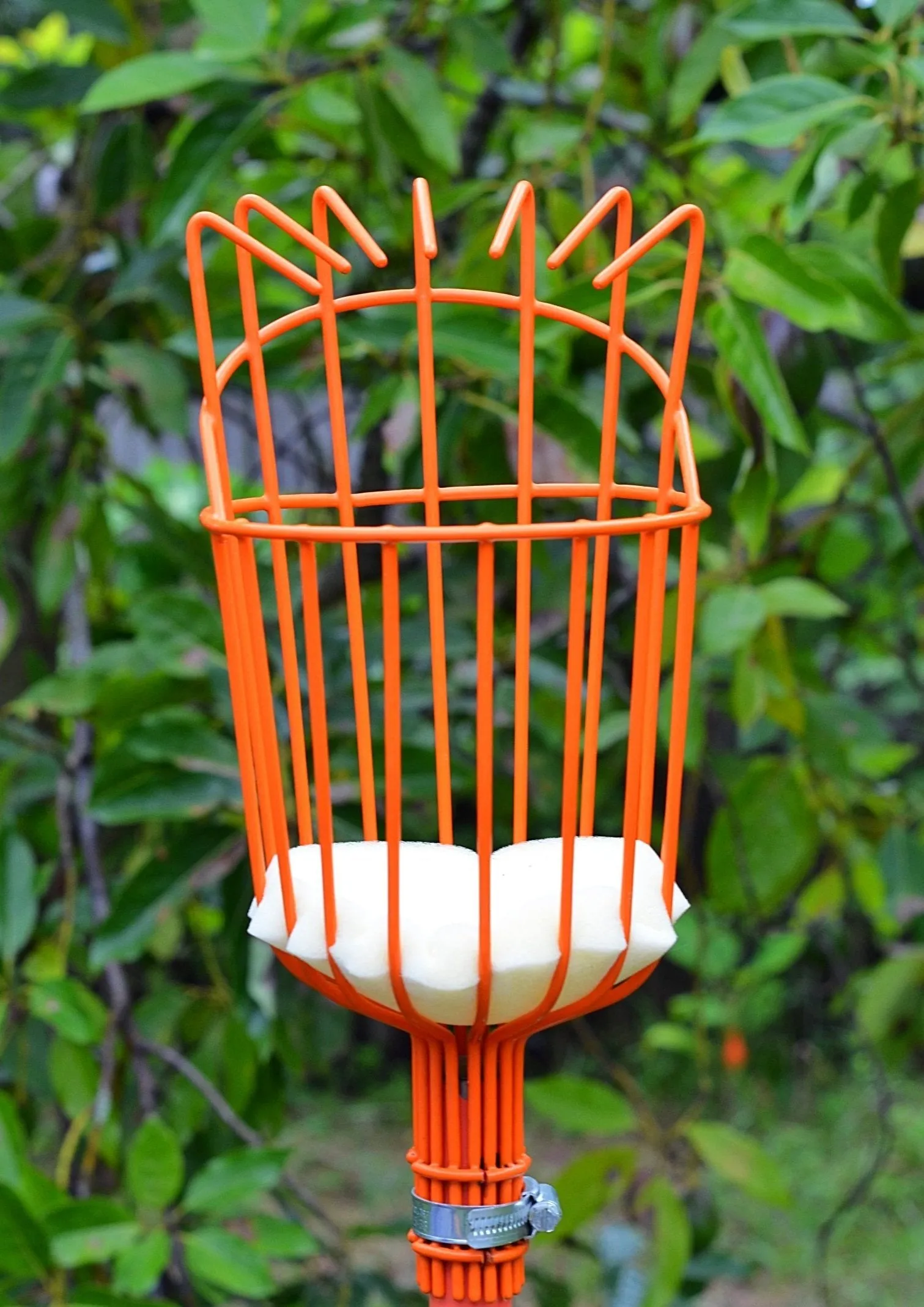 Fruit Picker