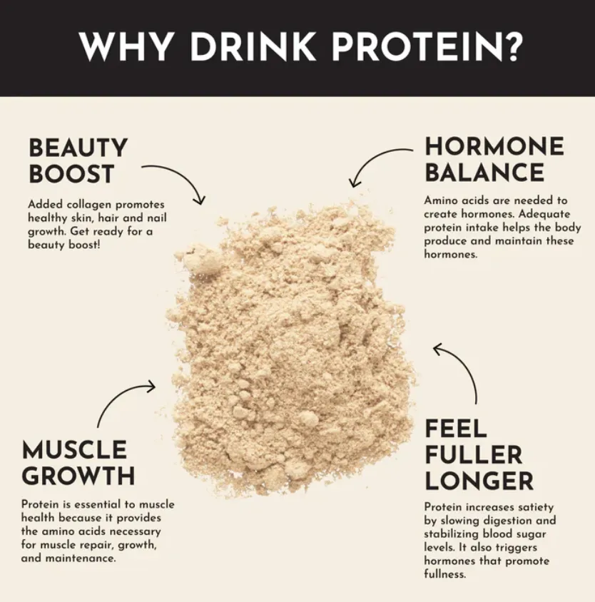 Protein Powder - Vanilla Bean