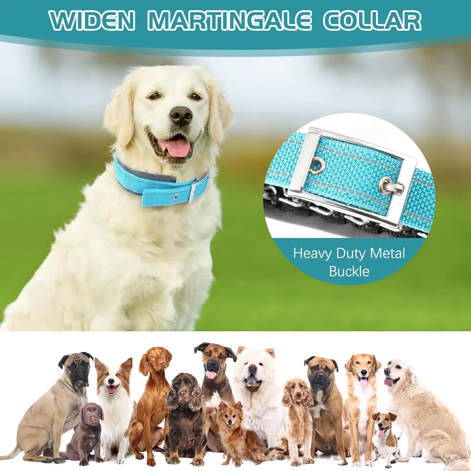 Reflective Martingale Collar for Dogs - Hidden Anti Pull Adjustable Training Collar Heavy Duty Buckle, Suitable for Small Medium Large Dogs on Walking & Hunting,Blue,M