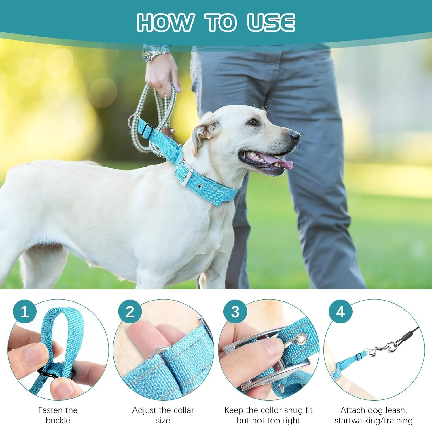 Reflective Martingale Collar for Dogs - Hidden Anti Pull Adjustable Training Collar Heavy Duty Buckle, Suitable for Small Medium Large Dogs on Walking & Hunting,Blue,M