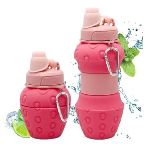 SAMVARDHAN Folding 700 ml Silicone Collapsible Water Bottle(Strawberry)