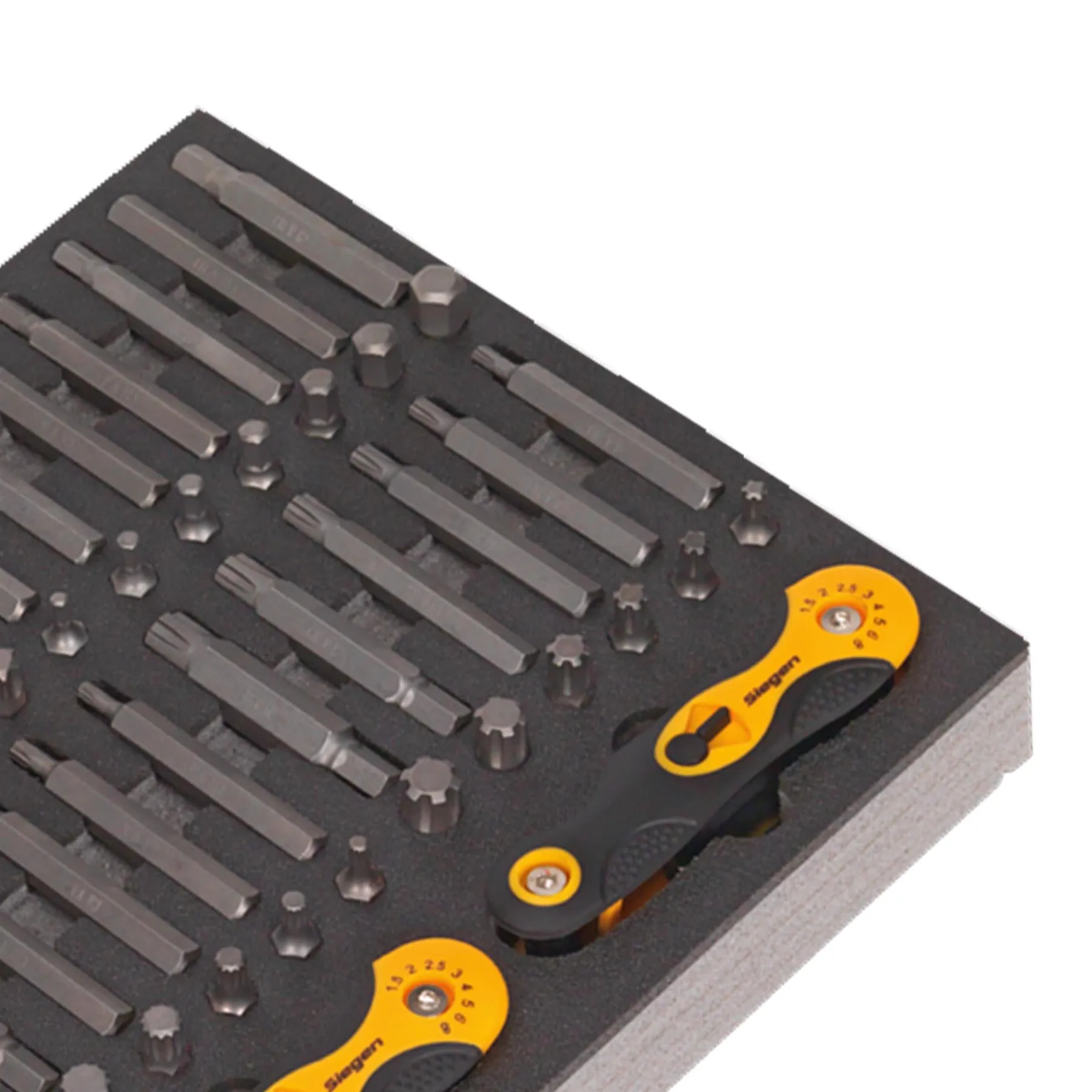 Sealey Tool Tray with Specialised Bits & Folding Hex Keys 192pc