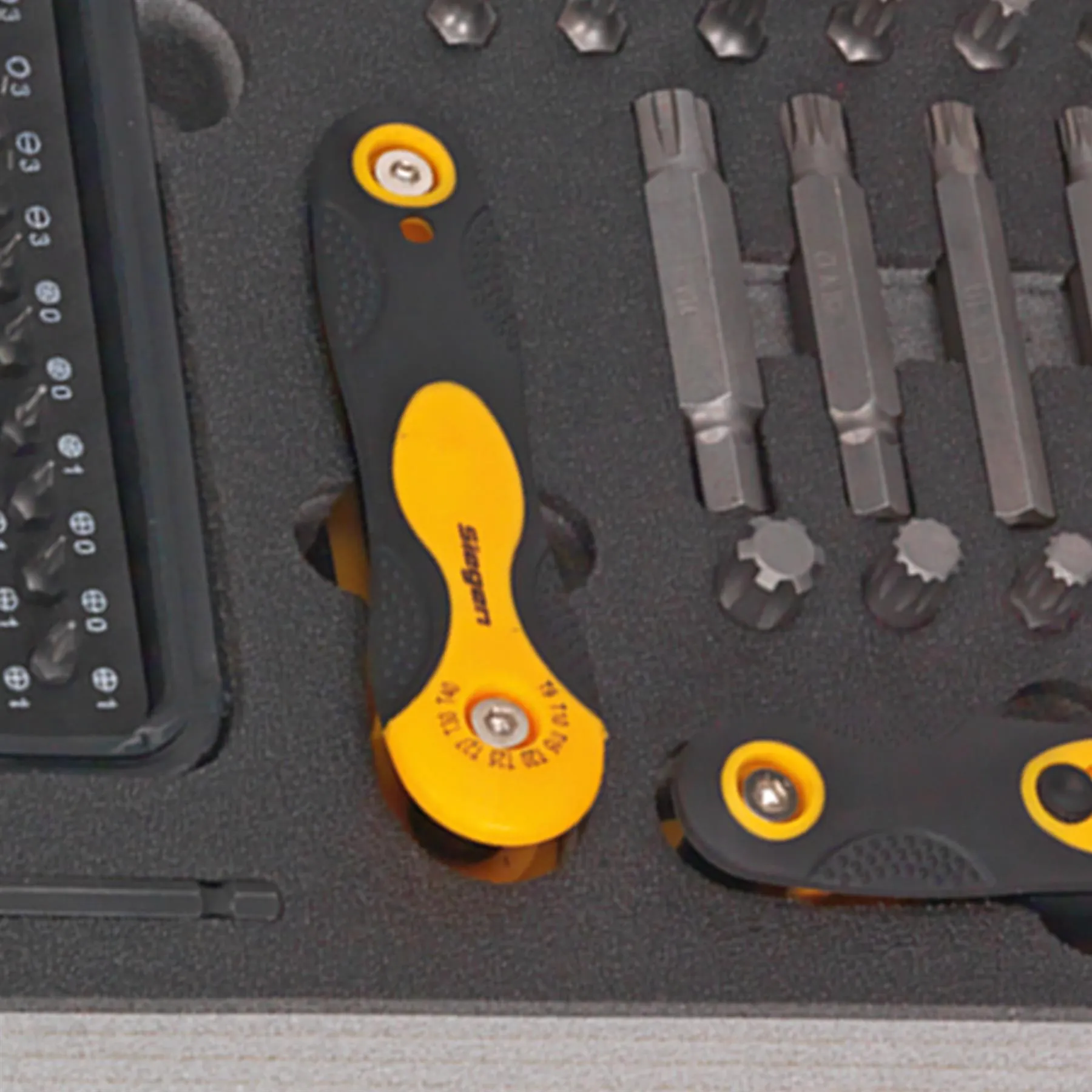 Sealey Tool Tray with Specialised Bits & Folding Hex Keys 192pc