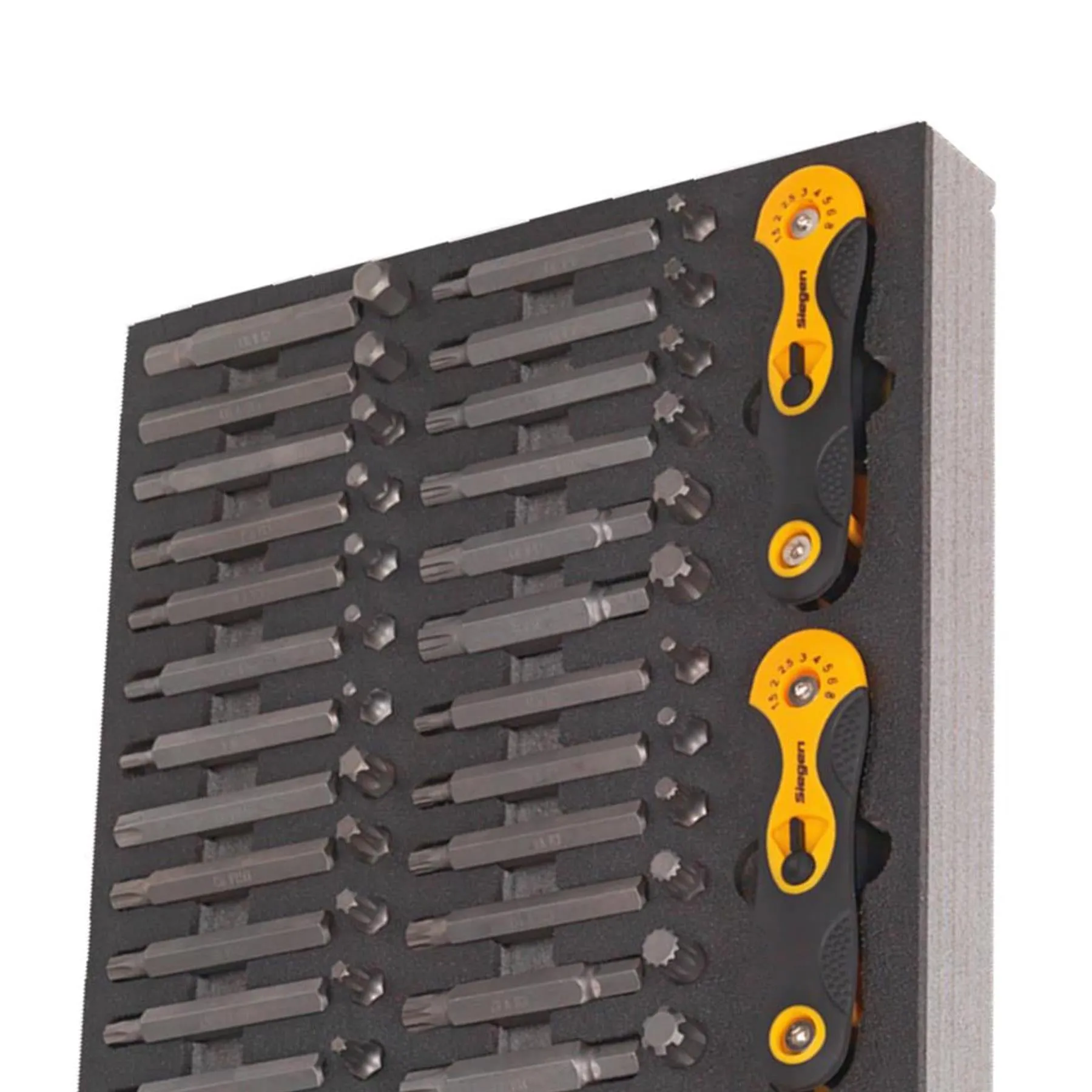 Sealey Tool Tray with Specialised Bits & Folding Hex Keys 192pc