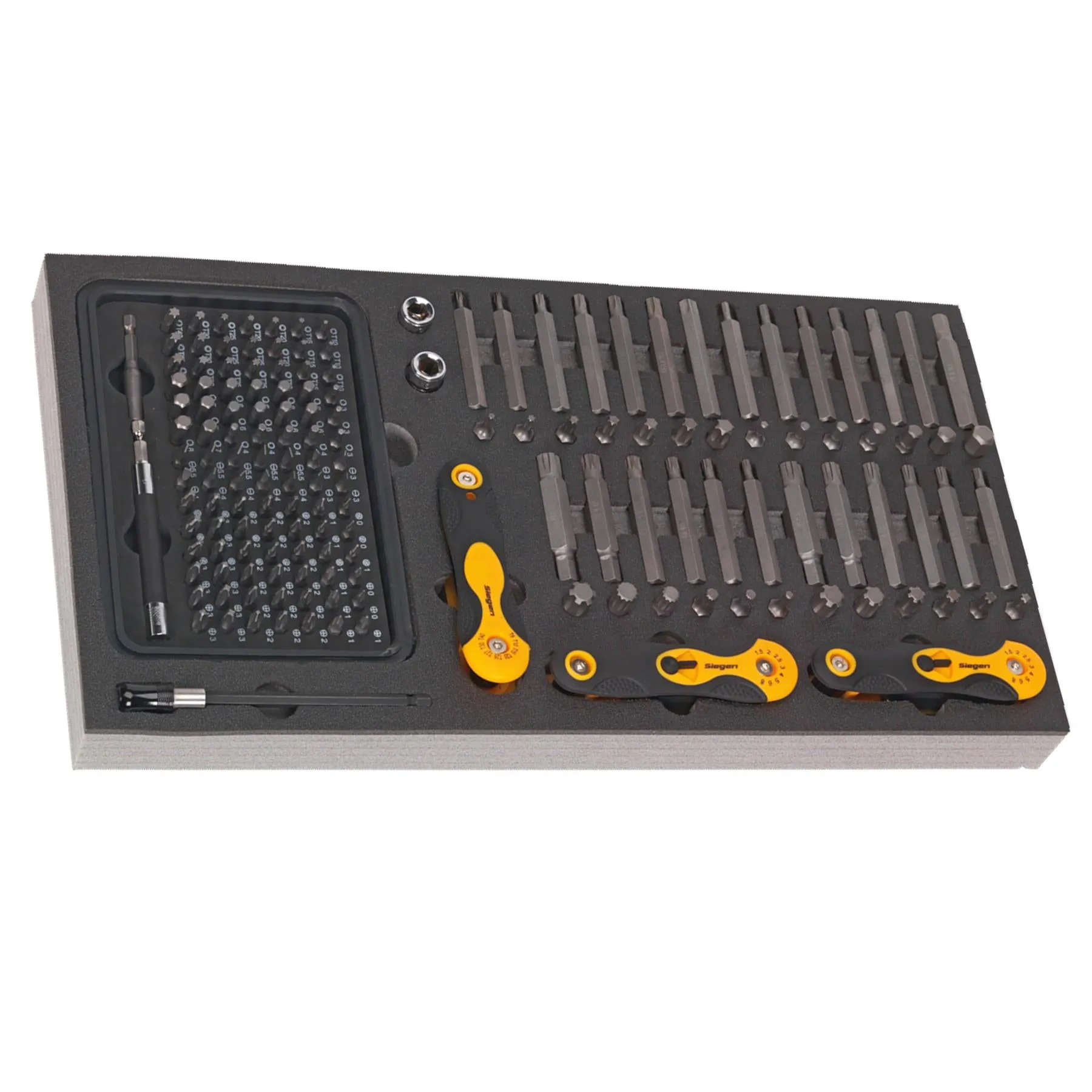 Sealey Tool Tray with Specialised Bits & Folding Hex Keys 192pc