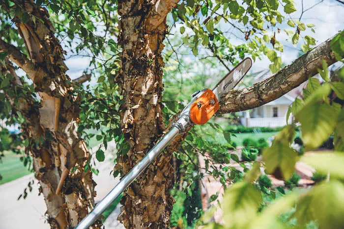 STIHL HT 135 Telescopic Pole Pruner