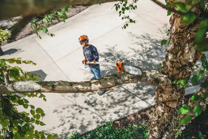 STIHL HT 135 Telescopic Pole Pruner