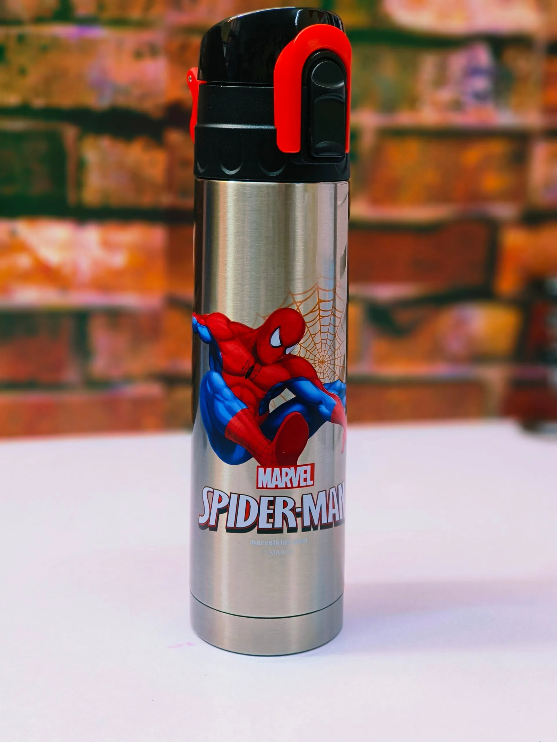 Stylist Insulated Chiller Water Bottle - 500ml