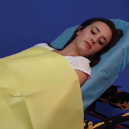 Taylor - Emergency Blanket 60 W X 90 L Inch Nonwoven Polypropylene Heavy Weight - 90-YEB6090