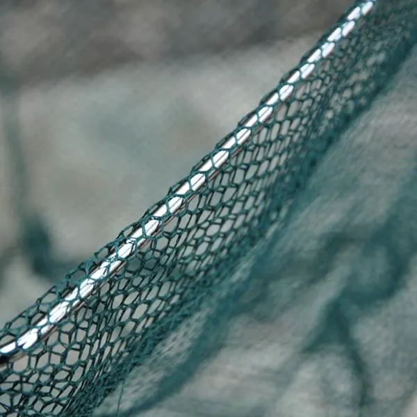 Telescoping Pole Fishing Net