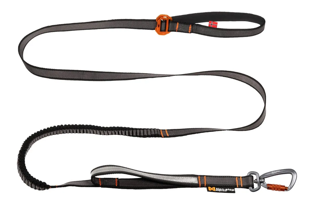 Touring bungee adjustable leash